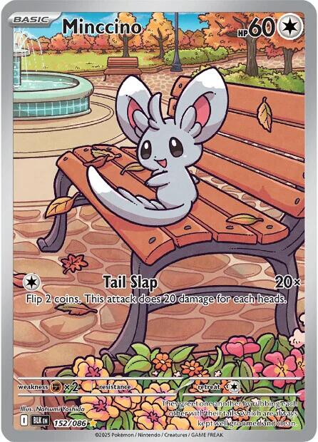 Minccino - 152/086 [BLK - 157/086]