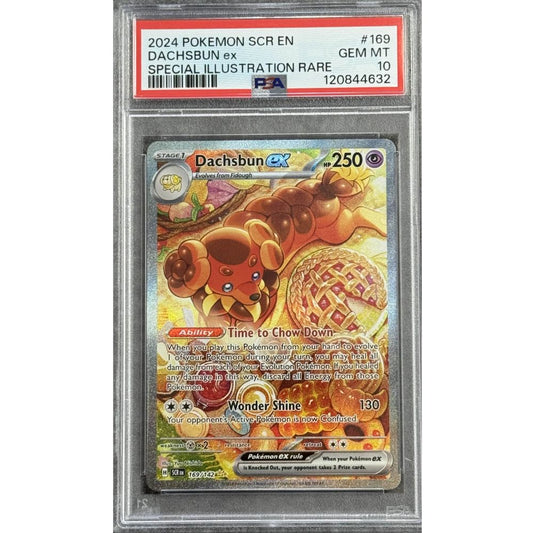 STELLAR CROWN - Dachsbun ex 169/142 PSA 10